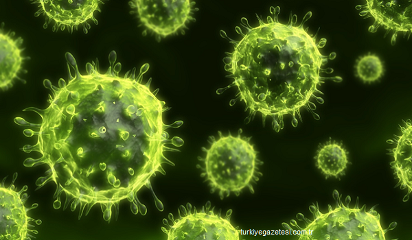 10 Virus Paling Mematikan di Dunia