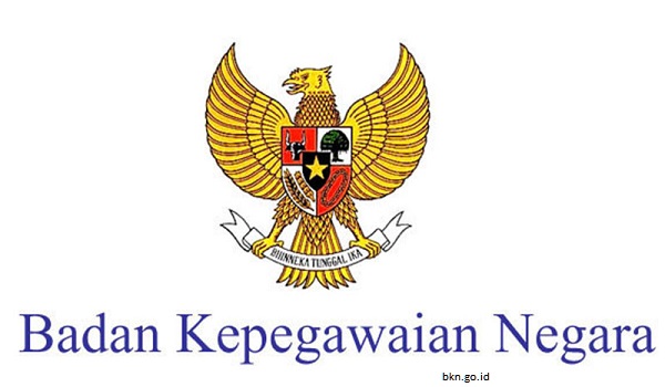  Penerimaan CPNS 2019 