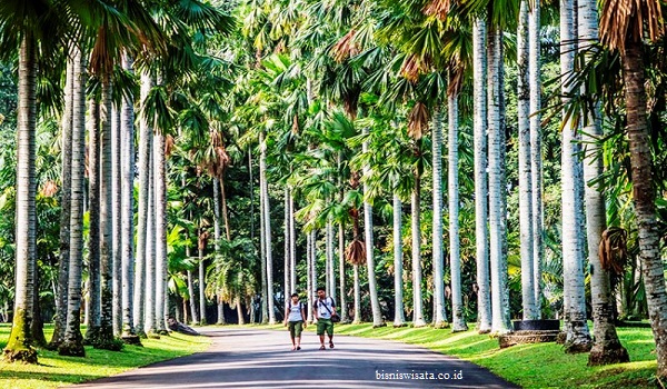 Kebun Raya Bogor Ditargetkan Masuk Daftar Situs Warisan Dunia UNESCO